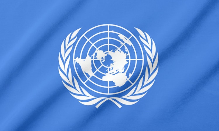 The Head of UN flag