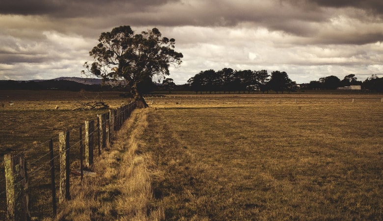 Agriculture farming