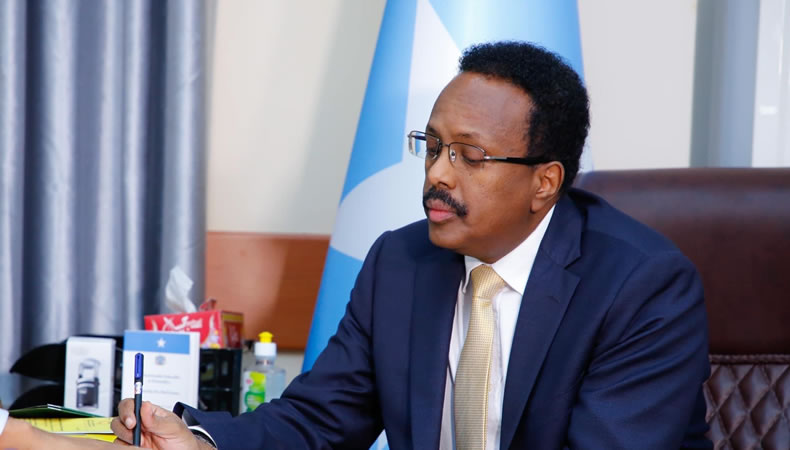 Farmajo_Qatar