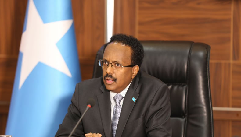 Qatar_Farmajo