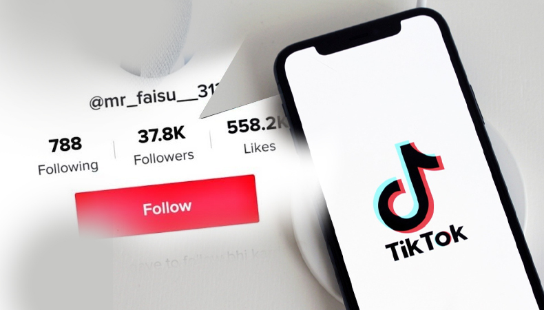 How to Grow Your TikTok Following