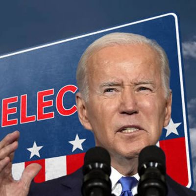 Joe biden