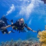 Best Red Sea Diving