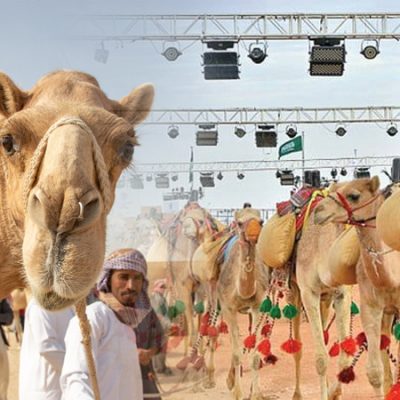 Saudi Arabia’s King Abdulaziz Camel Festival