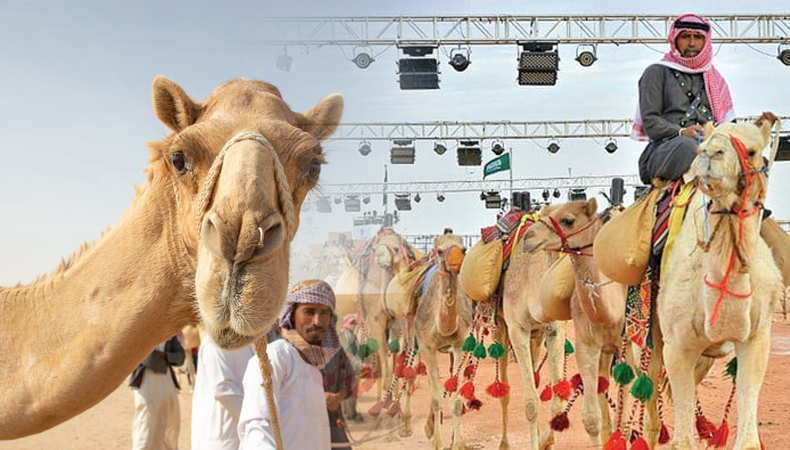 Saudi Arabia’s King Abdulaziz Camel Festival