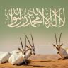 uruq bani ma’arid saudi arabia's unesco conservation triumph