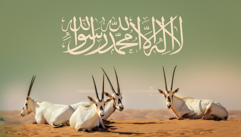 uruq bani ma’arid saudi arabia's unesco conservation triumph