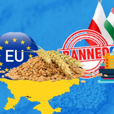eu grain bans a geopolitical agricultural puzzle