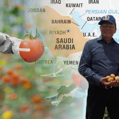 saudi arabia redefines self sufficiency food security with technology