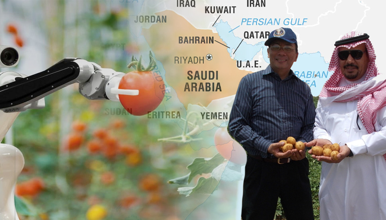 saudi arabia redefines self sufficiency food security with technology