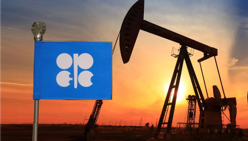 opec urge increase investment in oil and gas sector