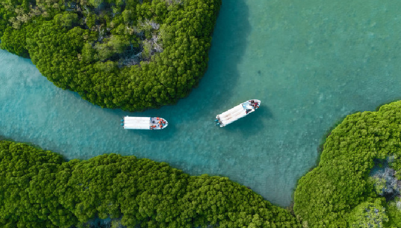 farasan islands