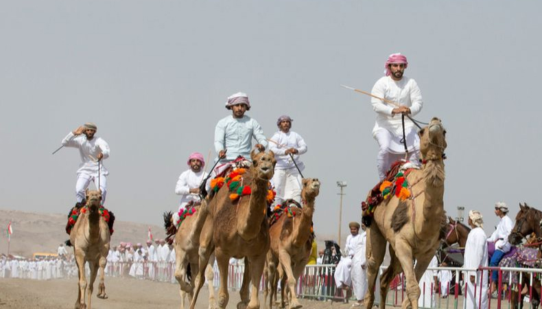 camel racing
