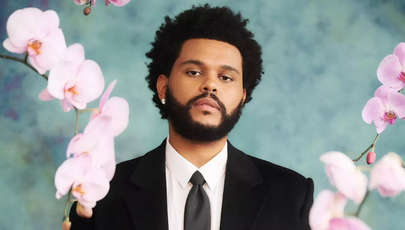 the weeknd donates $2 million for humanitarian aid in gaza 