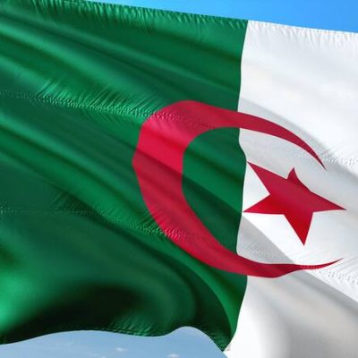 celebrating vietnams milestones and strengthening ties with algeria