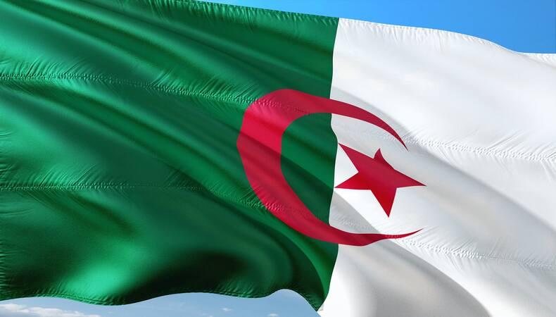 celebrating vietnams milestones and strengthening ties with algeria