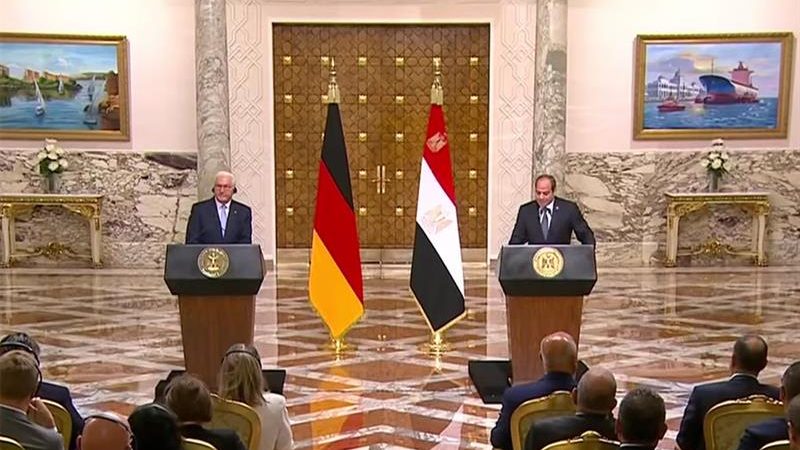 president abdel fattah al sisi meets german president addressing the nile water dispute and gerd