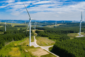 Can Egypt’s Wind Farms Lead Carbon Emissions Down by 2.5M Tons?