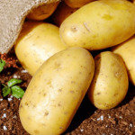 Egypt's Potato Exports Hit $409 Million in 2024