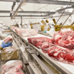 Paraguay Aims to Double Beef Exports to Morocco Over Growing Agricultural Cooperation