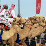 Qatar Camel Festival: A celebration of Tradition and Prestige