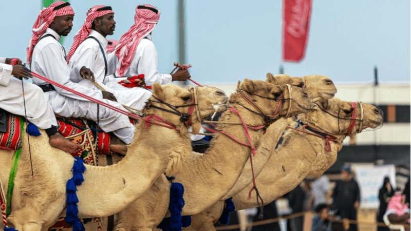 Qatar Camel Festival: A celebration of Tradition and Prestige