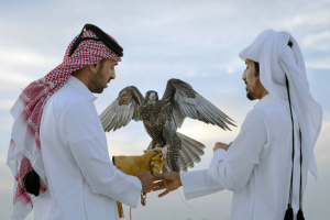 Falconry in Qatar: A Historic Sport That Still Thrives Today