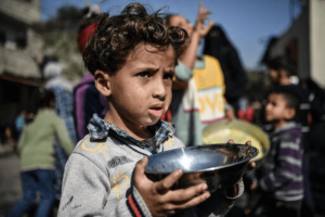 Gaza Faces Serious Food Crisis with Canned Food as Aid Rooting in Border