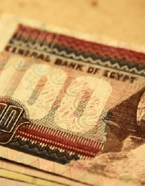 egypt auctions egp 90b in treasury bills