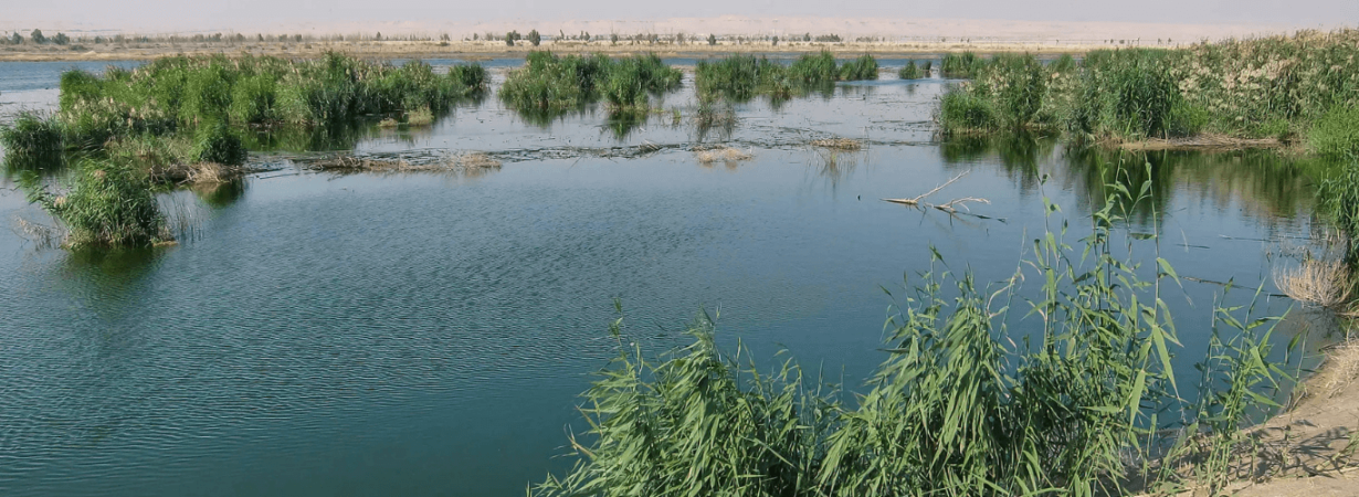 kuwait tourist attractions, places to visit in kuwait, kuwait travel guide, kuwait for new,