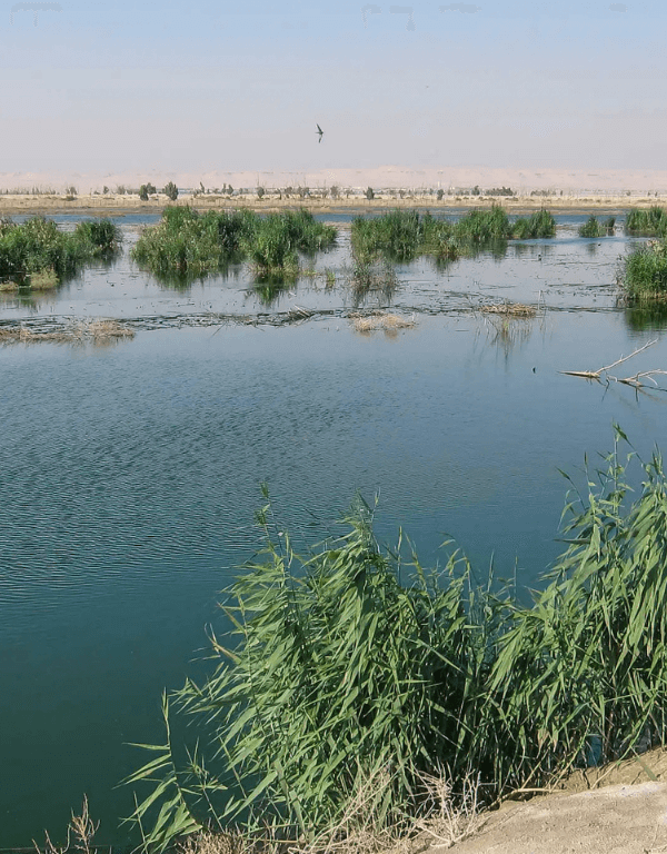 kuwait tourist attractions, places to visit in kuwait, kuwait travel guide, kuwait for new,