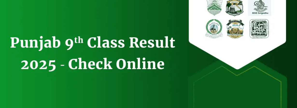 bise punjab 9th class result 2025 citywise & gender wise rankings (1)