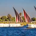 nile river eco cruises and green travel options (1)