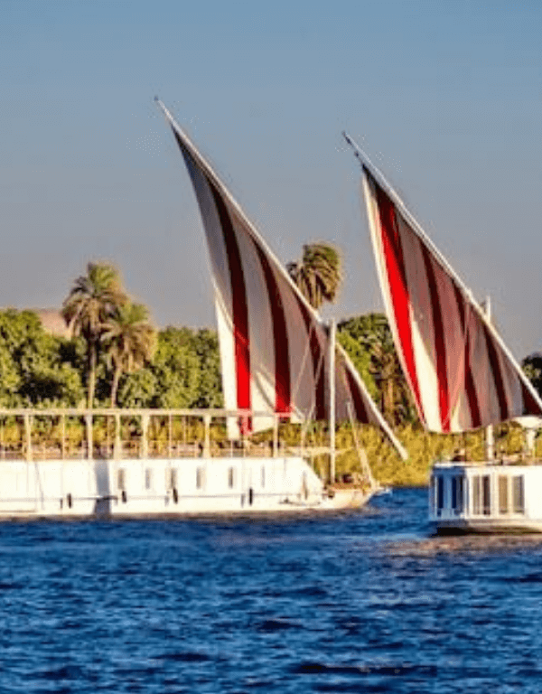nile river eco cruises and green travel options (1)