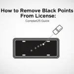 How to Remove Black Points From License Complete 2025 Guide
