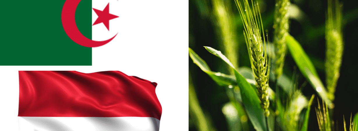 Algeria Indonesia agricultural cooperation