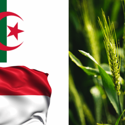 Algeria Indonesia agricultural cooperation