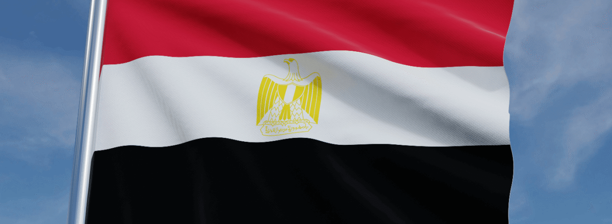 Egypt Upstream Reforms