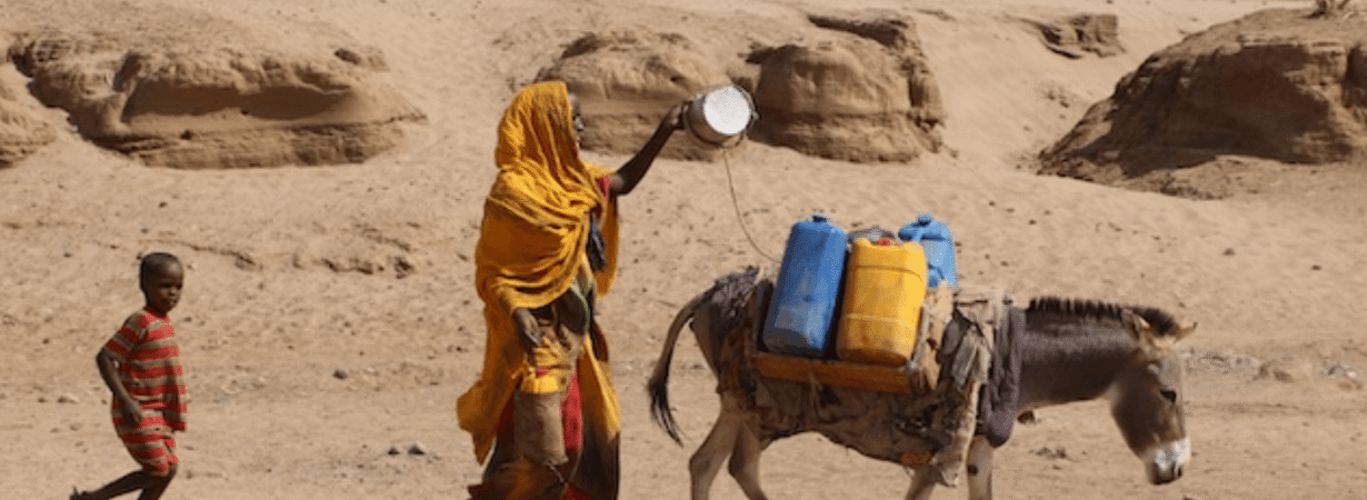 Global Water Bankruptcy