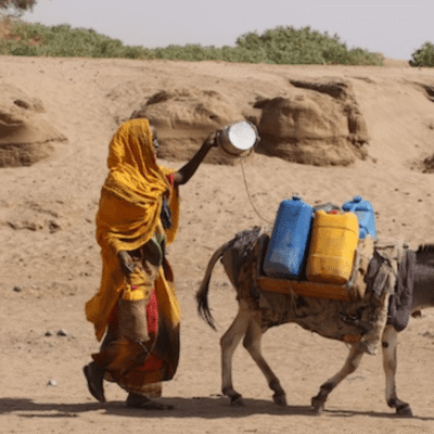 Global Water Bankruptcy