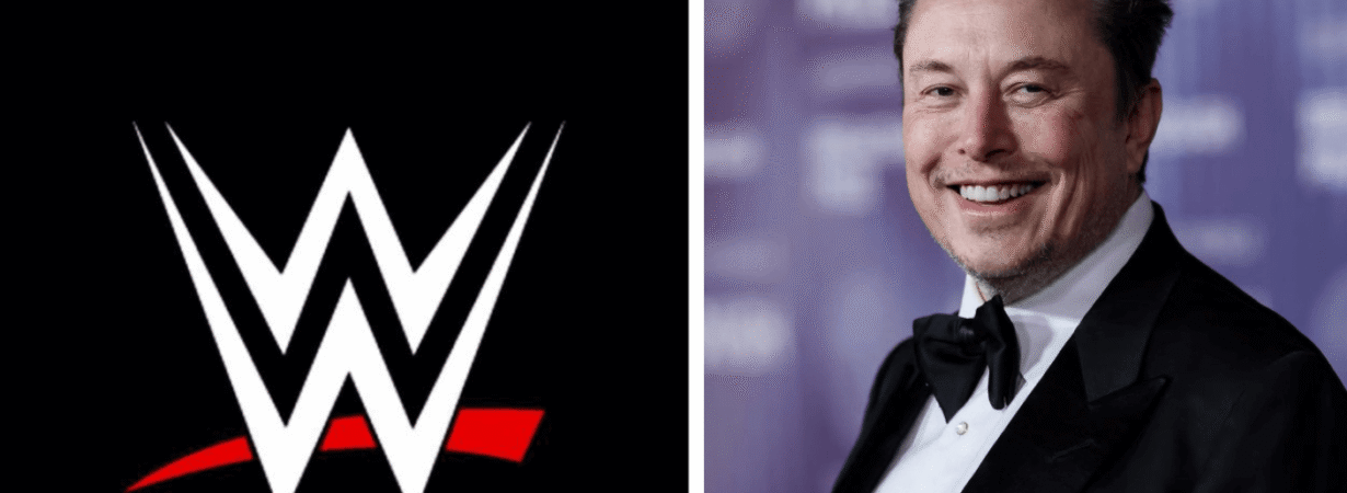 Musk WWE Buyout