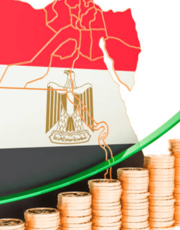 Sokhna Industrial Zone Units