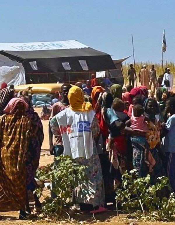 Egypt secret drone base