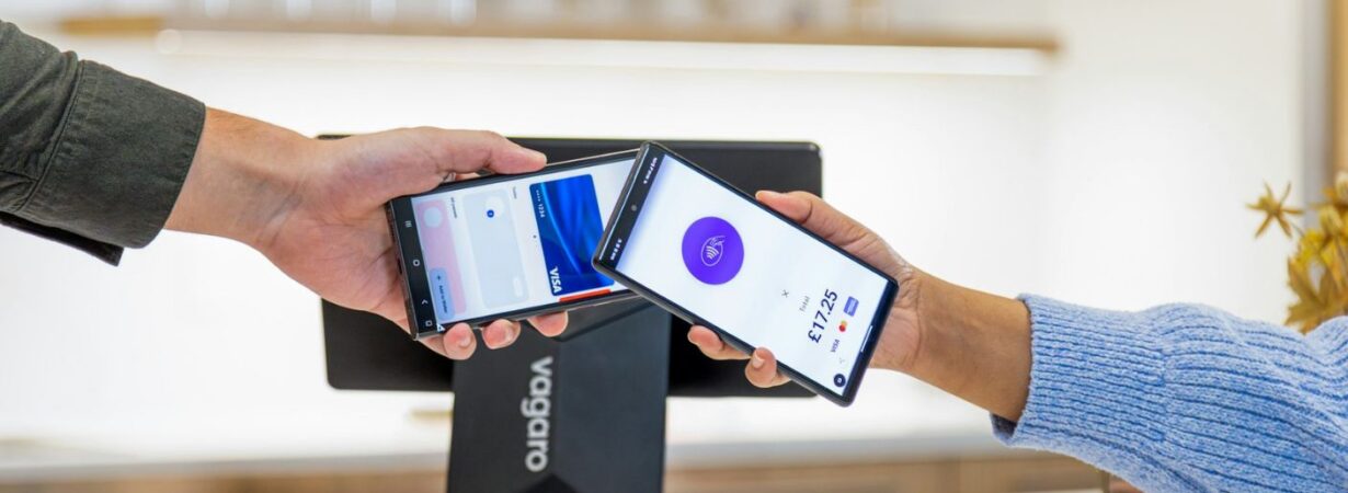 Central Bank of Egypt smartphone POS