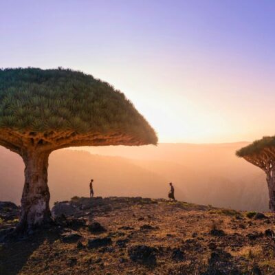 Socotra Island natural wonders