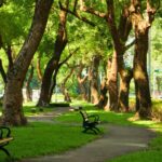 moroccan green spaces free entry