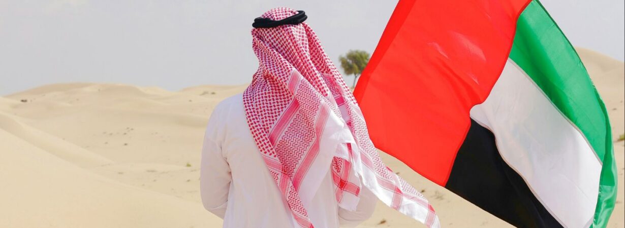 uae energy strategy