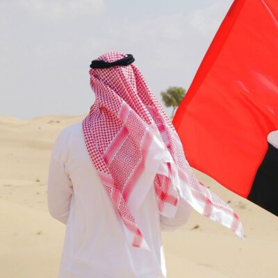 uae energy strategy
