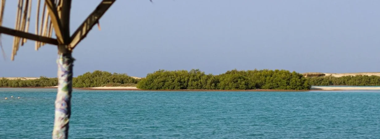 Hidden Beaches Near Alexandria