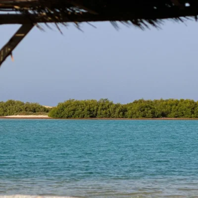 Hidden Beaches Near Alexandria